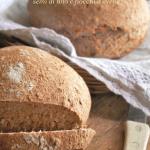pane con farina integrale , semi di lino e fiocchi d'avena