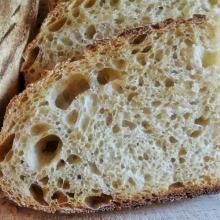 farina tridordeum e frumento tenero di tipo 1 per un pane dorato in giornata