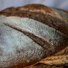 pane con farina vivenza in purezza