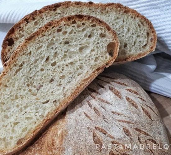 l’analisi sensoriale del pane – come distinguere un pane di qualità