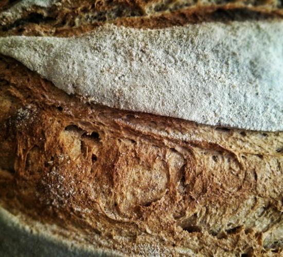Pane del lavoratore - Dal frigo al forno